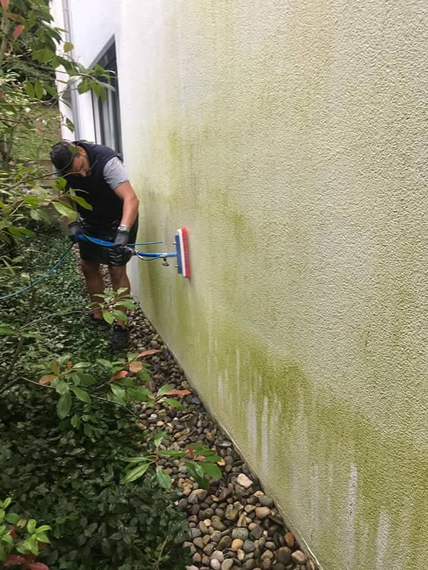 Reinigung von Fassaden ohne Chlor
